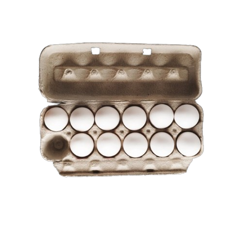 15 Dozen Medium Fresh Eggs